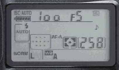 Цифровые фотоаппараты